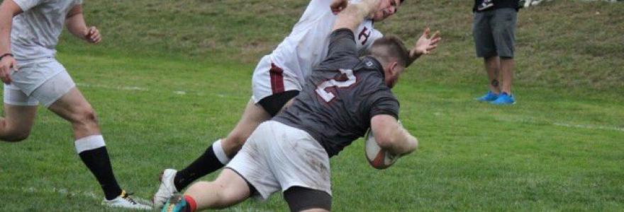Brown hooker scores v Harvard 2019