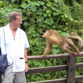 2008 Emili attached by a monkey