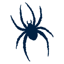 Richmond Spiders