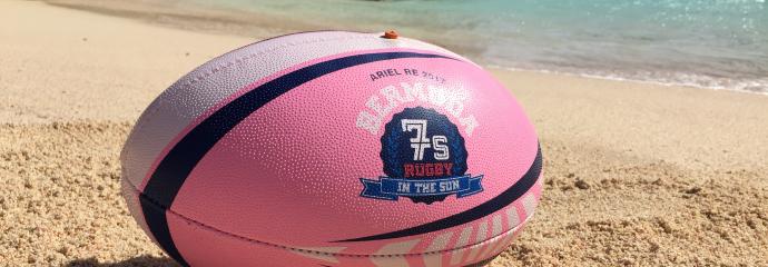 Bermuda Pinks and blue ball nestled in the sandy beaches