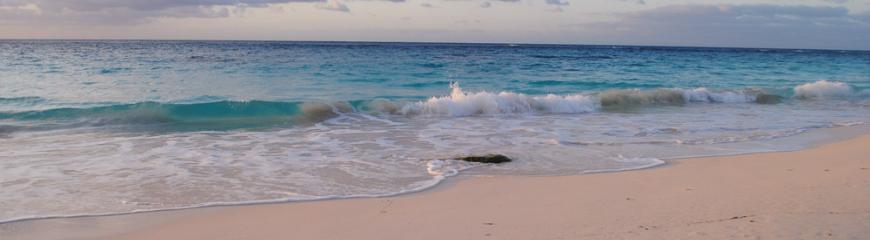 Elbow Beach