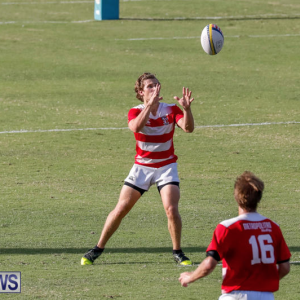 2017 Collegiate All-Star Cup (BERNEWS)