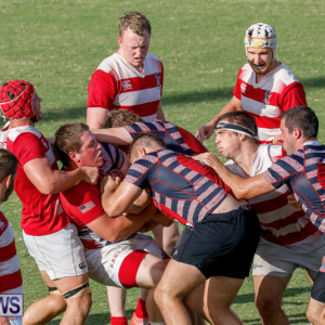 2017 Collegiate All-Star Cup (BERNEWS)