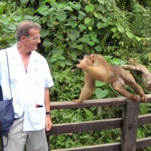 2008 Emili attached by a monkey