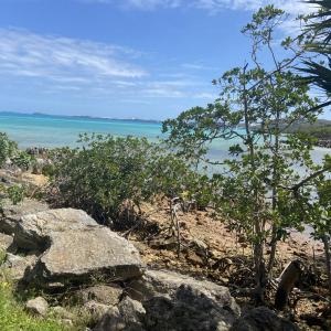 rocks brush and Bermuda sands