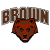 Brown Bears