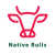 outline of red bull - green native bulls type