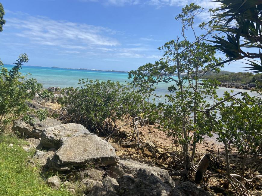 Blue Hole beach Bermuda rocks brush and Bermuda sands